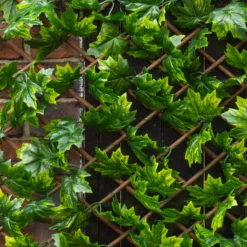 Apollo Maple Leaf Willow Trellis Panel (W)200cm X (H)100cm -Garden Care Shop apollo maple leaf willow trellis panel w 200cm x h 100cm5037653779309 02i bq