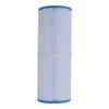 Canadian Spa Company Microban Slip Spa Filter