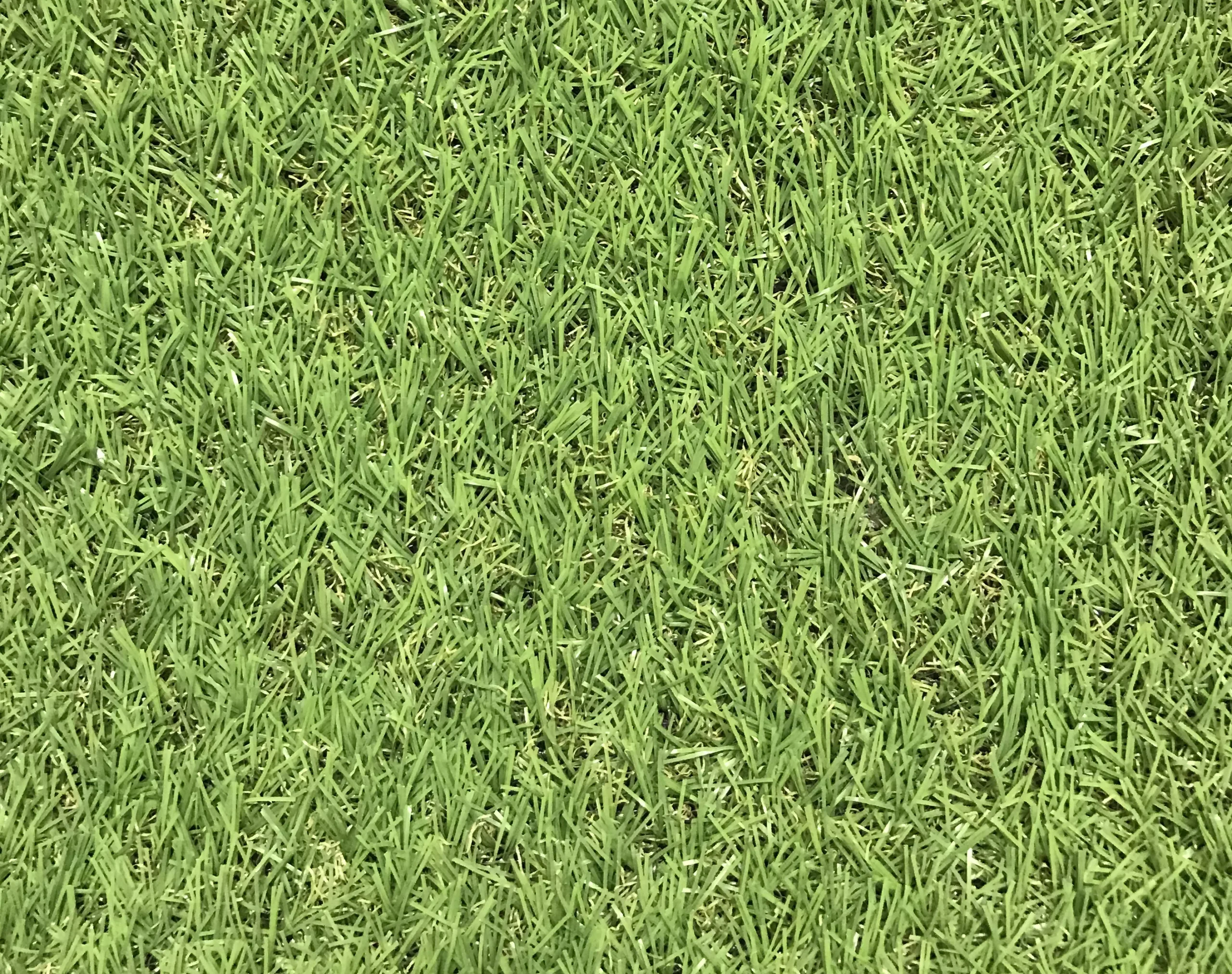 Dennis Medium Density Artificial Grass (L)4m (W)1m (T)22mm 1 Dennis Medium Density Artificial Grass (L)4m (W)1m (T)22mm
