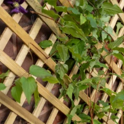 Forest Garden Trellis Natural Timber Rectangular Planter (H) 137cm X (W) 80cm 6 Forest Garden Trellis Natural Timber Rectangular Planter (H) 137cm X (W) 80cm -Garden Care Shop forest garden trellis natural timber rectangular planter h 137cm x w 80cm5013053190616 02i