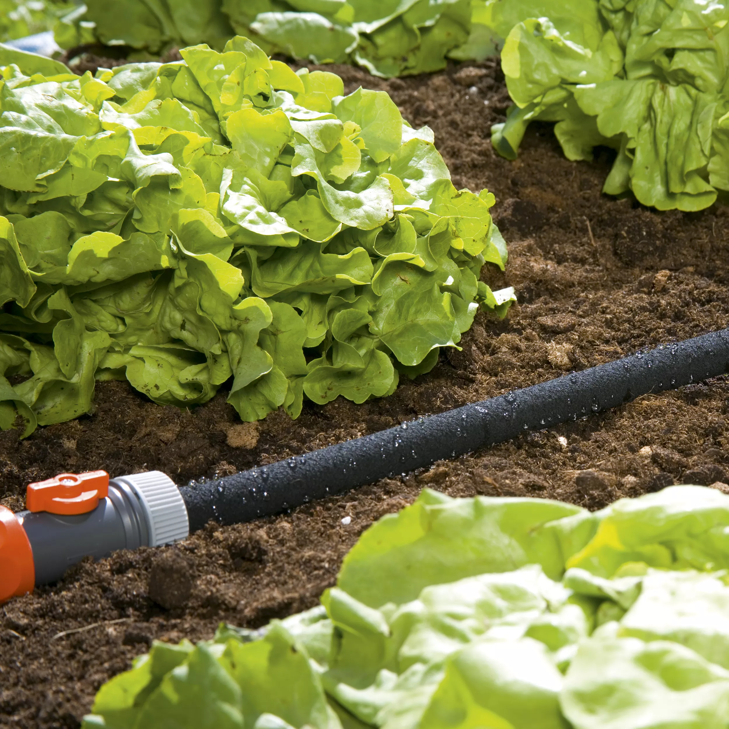 Gardena 1969-20 Black Multilayer Braided Reinforced Hose Pipe (D)½" X (L)15m 2 Gardena 1969-20 Black Multilayer Braided Reinforced Hose Pipe (D)½" X (L)15m - Image 2