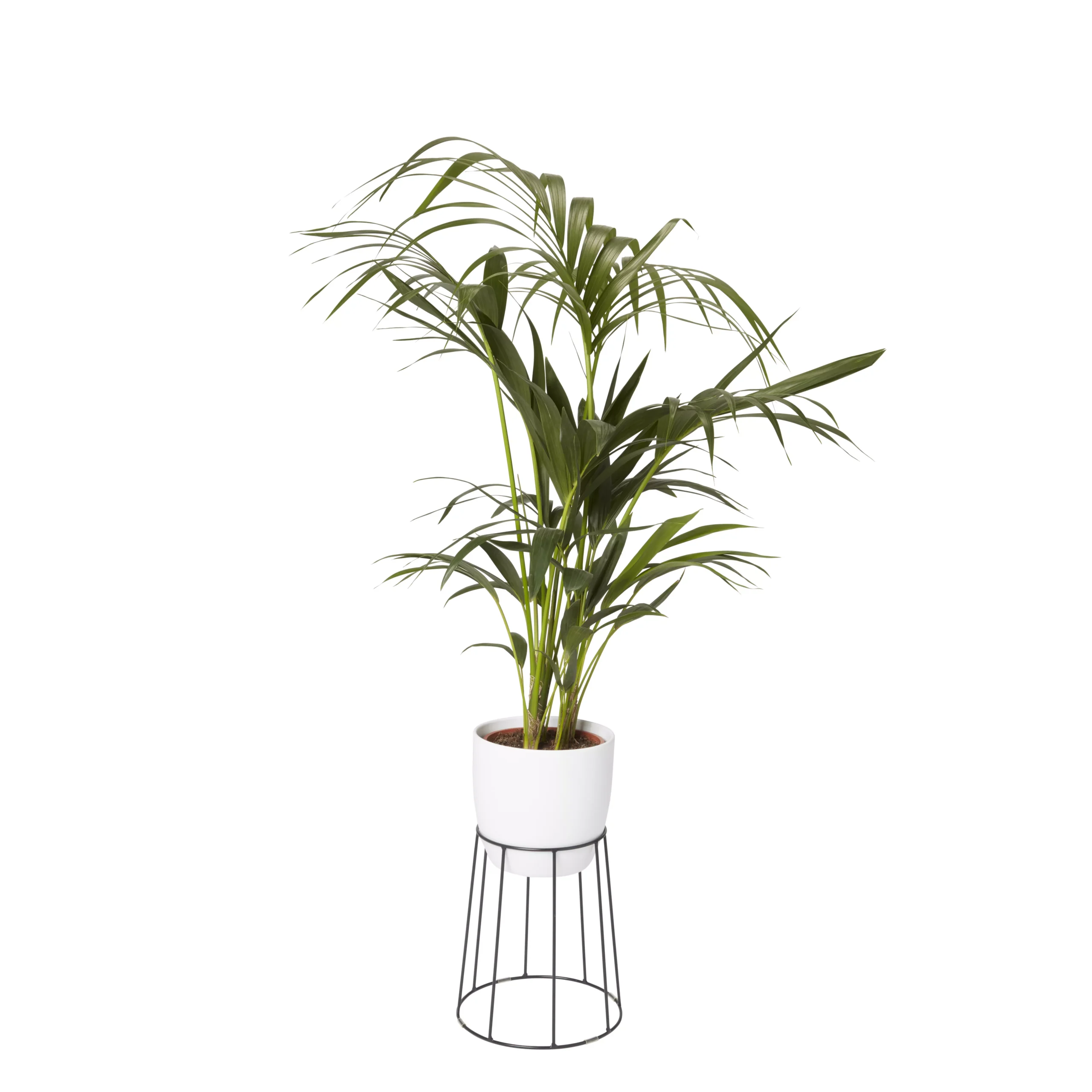 GoodHome Metal Pot Stand 3 GoodHome Metal Pot Stand - Image 3