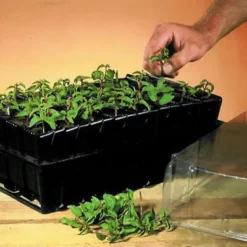 Haxnicks Deep Rootrainer 37cm -Garden Care Shop haxnicks deep rootrainer 37cm0651609107012 01i