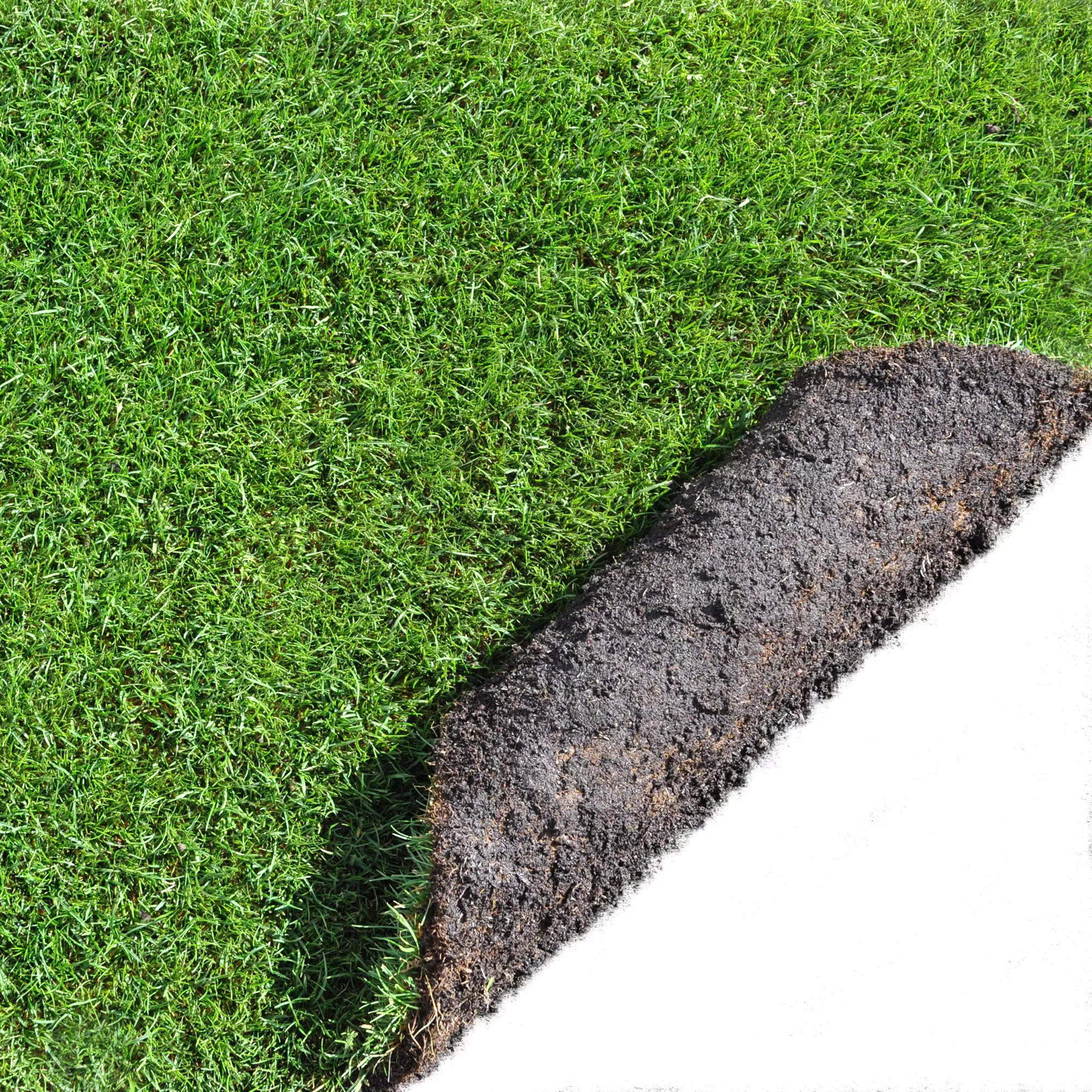 Lawn Turf, 25m² Pack 2 Lawn Turf, 25m² Pack - Image 2