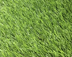 Maple High Density Artificial Grass (L)4m (W)2m (T)39mm 12 Maple High Density Artificial Grass (L)4m (W)2m (T)39mm -Garden Care Shop maple high density artificial grass l 4m w 2m t 39mm3663602425274 36c