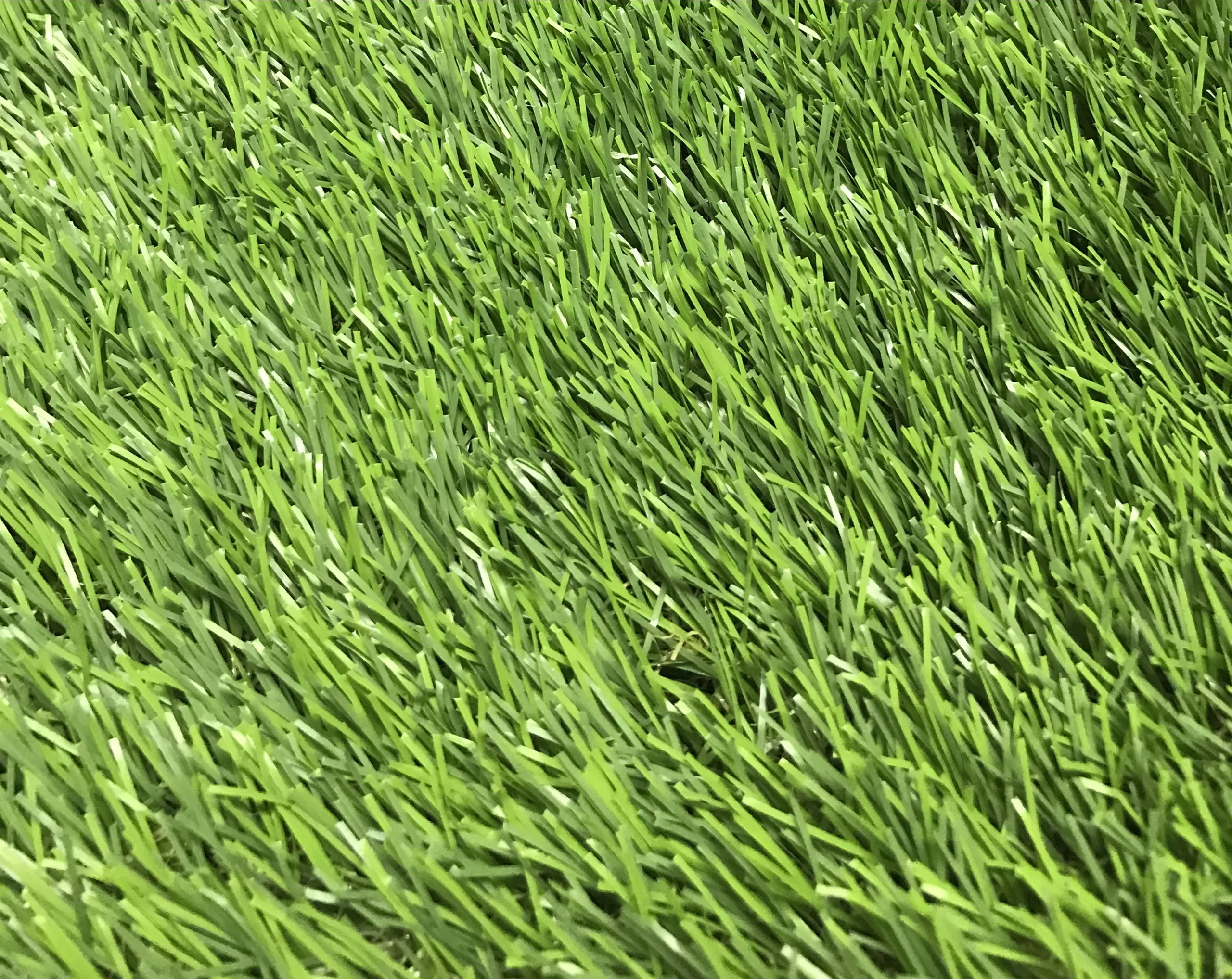 Maple High Density Artificial Grass (L)4m (W)2m (T)39mm 3 Maple High Density Artificial Grass (L)4m (W)2m (T)39mm - Image 3