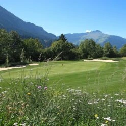 Meadowmat Wildflower Turf, 20m² Pack 12 Meadowmat Wildflower Turf, 20m² Pack -Garden Care Shop meadowmat wildflower turf 20m pack04168157 04i bq