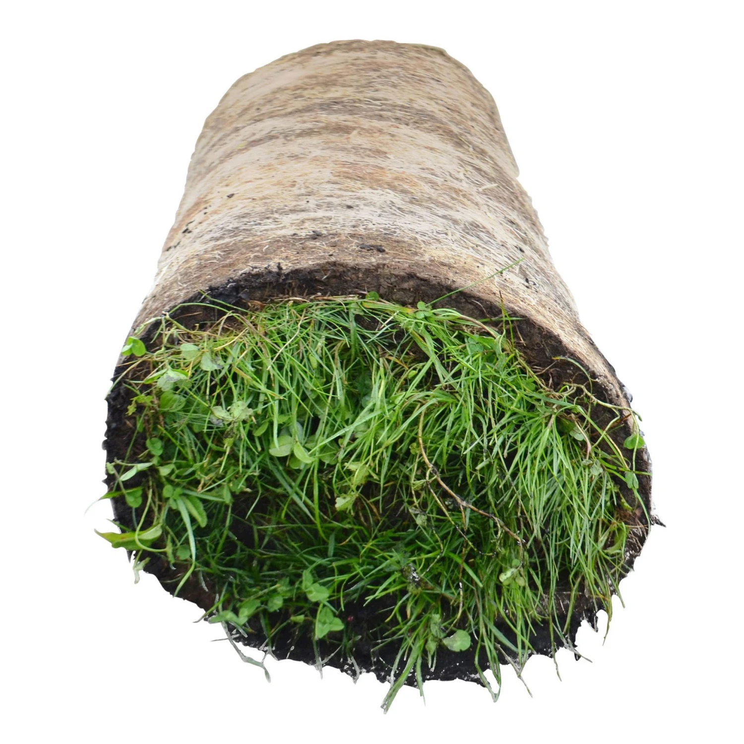 Meadowmat Wildflower Turf, 20m² Pack 2 Meadowmat Wildflower Turf, 20m² Pack - Image 2