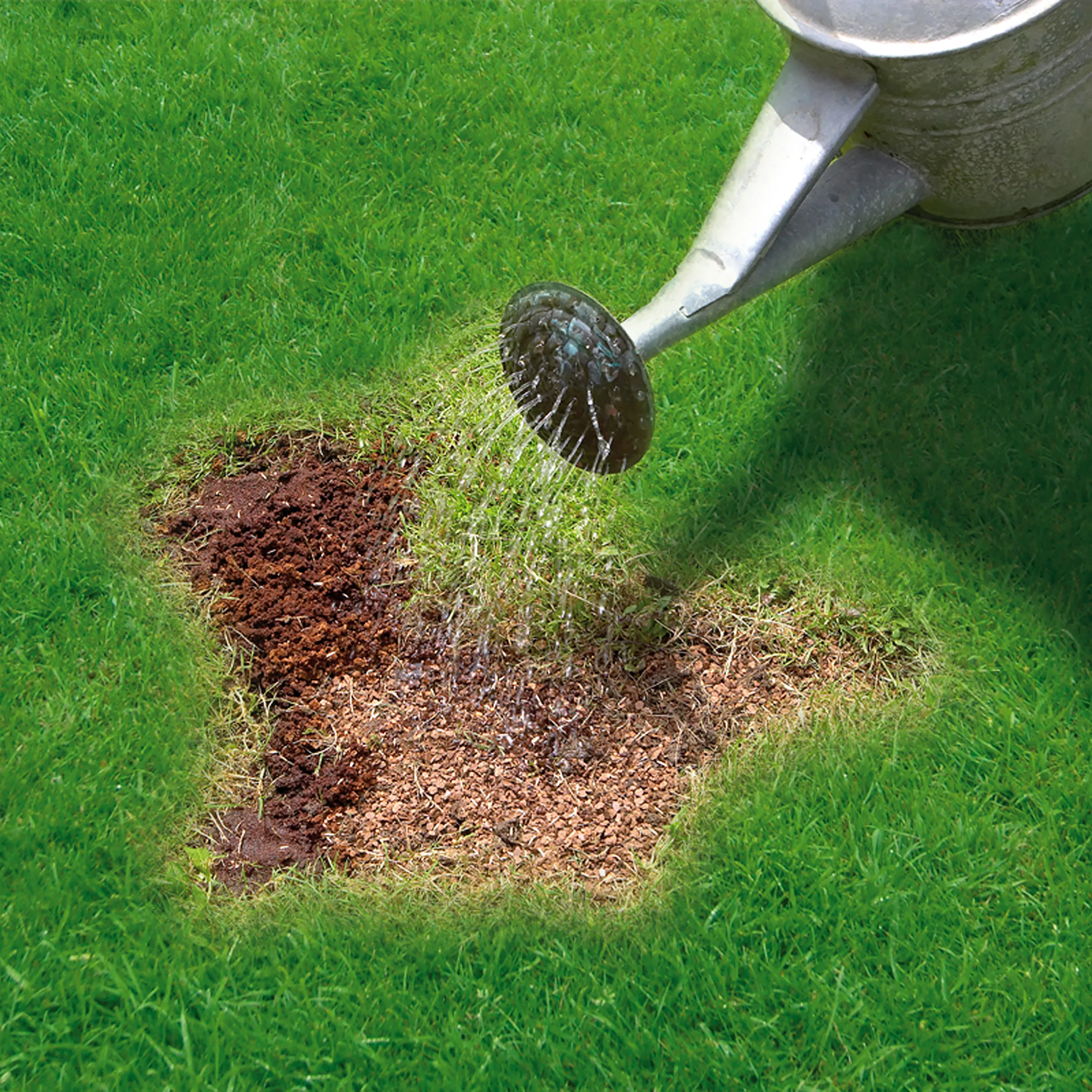 Miracle-Gro Patch Magic Lawn Patch Repairer 13m² 1L 1kg 4 Miracle-Gro Patch Magic Lawn Patch Repairer 13m² 1L 1kg - Image 4