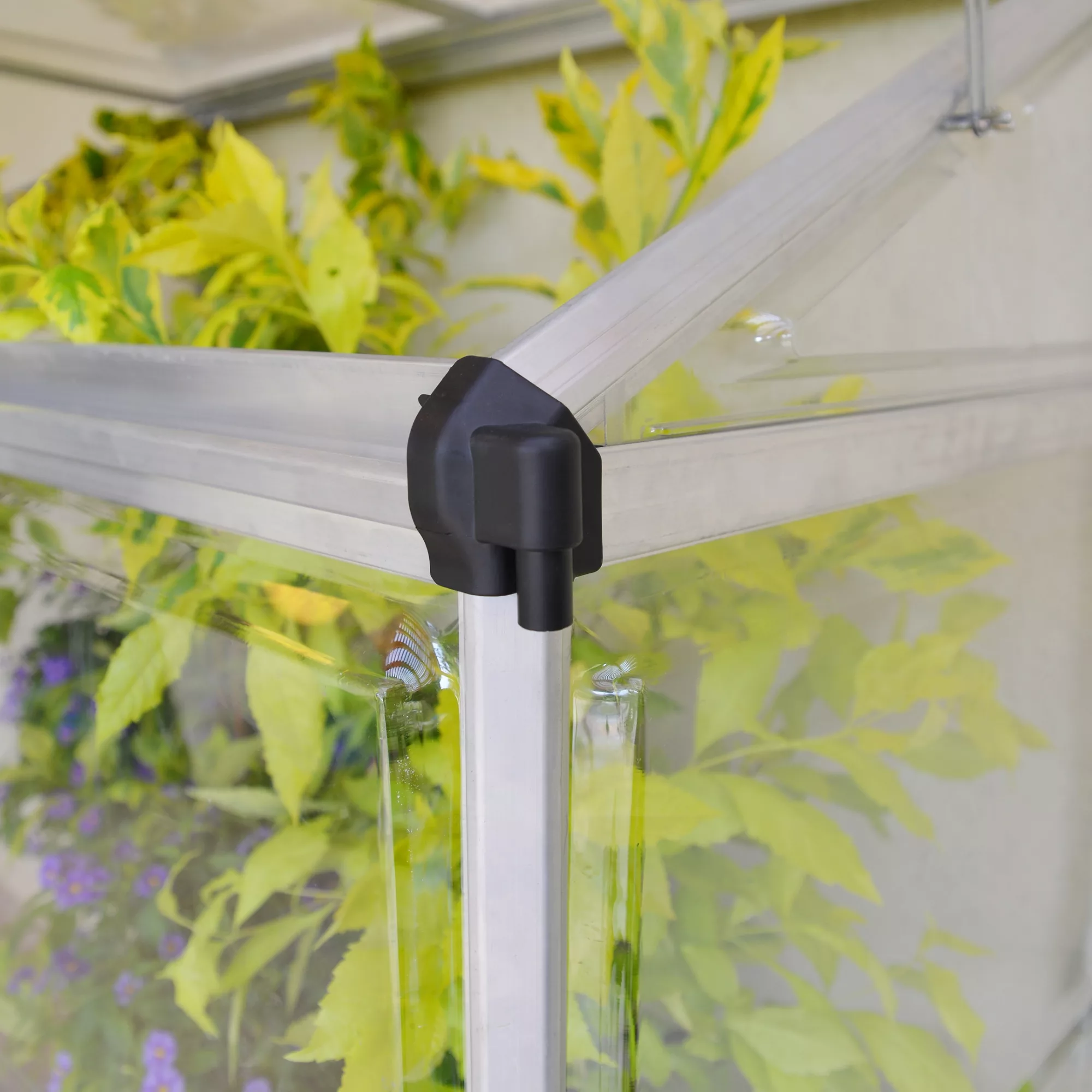 Palram - Canopia 4x2 Greenhouse 2 Palram - Canopia 4x2 Greenhouse - Image 2