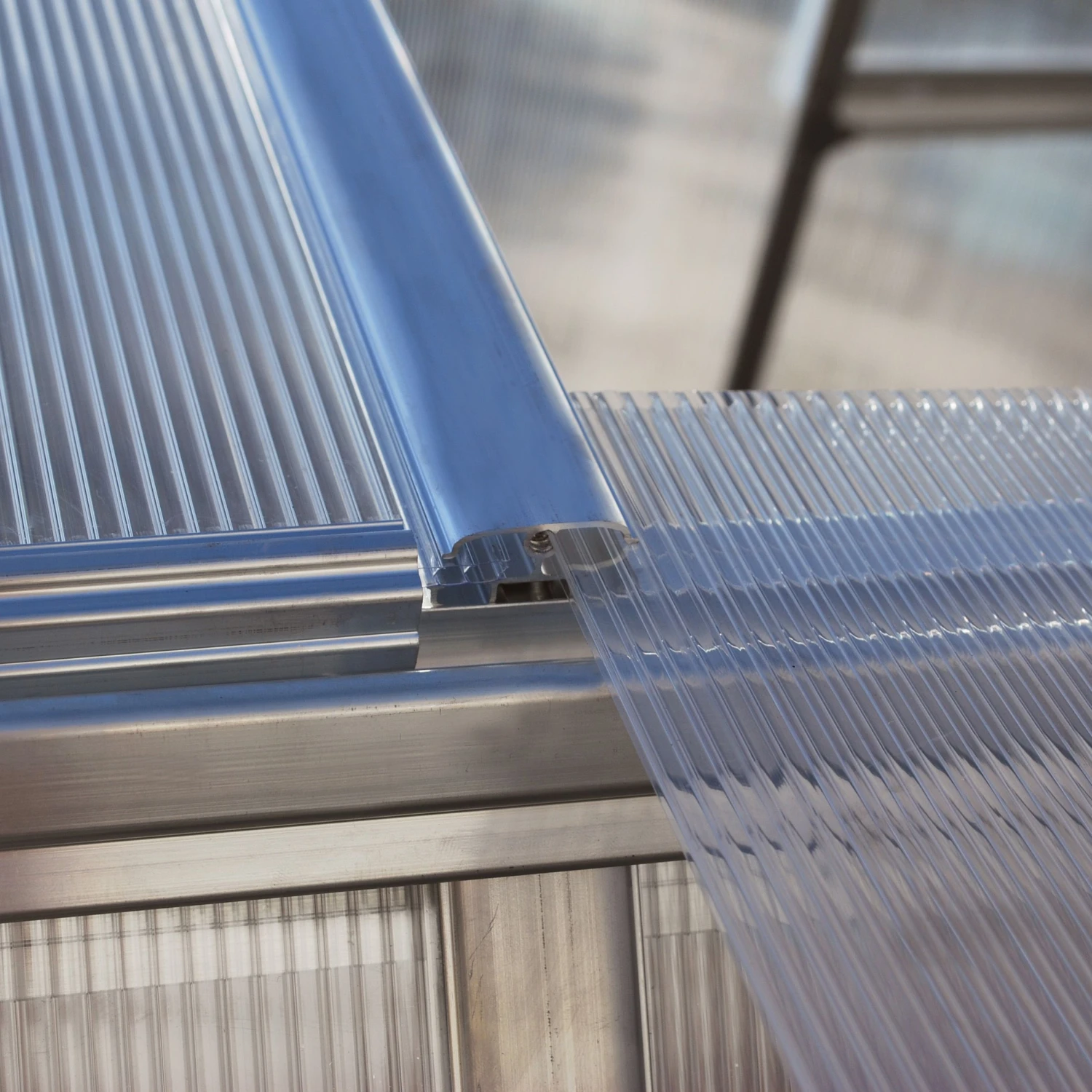 Palram - Canopia Mythos Silver 6x10 Greenhouse 2 Palram - Canopia Mythos Silver 6x10 Greenhouse - Image 2