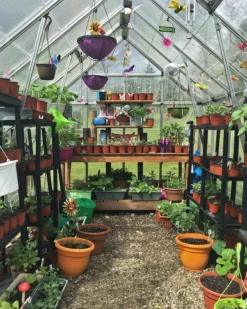 Palram - Canopia Octave Silver Greenhouse -Garden Care Shop palram canopia octave silver greenhouse7290103111472 05i