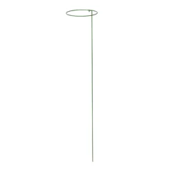 Panacea Steel Single Stem Plant Support (L)122cm (Dia)20.3cm, Pack Of 3