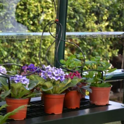 Rion Grand Gardner Green 8x16 Greenhouse -Garden Care Shop rion grand gardner green 8x16 greenhouse7290103121594 37c