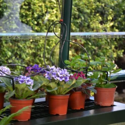 Rion Grand Gardner Green 8x8 Greenhouse -Garden Care Shop rion grand gardner green 8x8 greenhouse7290103121570 38c