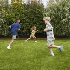 Verve Family & Sports Grass Seeds, 1.5kg -Garden Care Shop verve family sports grass seeds 1 5kg3663602947516 01i