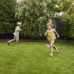 Verve Family & Sports Grass Seeds, 1.5kg -Garden Care Shop verve family sports grass seeds 1 5kg3663602947516 02i