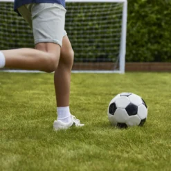 Verve Family & Sports Grass Seeds, 1.5kg -Garden Care Shop verve family sports grass seeds 1 5kg3663602947516 06i