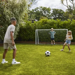 Verve Family & Sports Grass Seeds, 1.5kg -Garden Care Shop verve family sports grass seeds 1 5kg3663602947516 09i