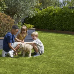 Verve Family & Sports Grass Seeds, 10kg -Garden Care Shop verve family sports grass seeds 10kg3663602947516 04i