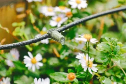 Verve Irrigation Kit 20 Pieces -Garden Care Shop verve irrigation kit 20 pieces5063022059888 02i