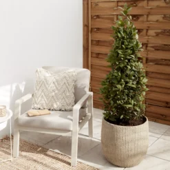 Verve Kulun Beige Knitted Effect Fibreclay Circular Plant Pot (Dia)46cm 5 Verve Kulun Beige Knitted Effect Fibreclay Circular Plant Pot (Dia)46cm -Garden Care Shop verve kulun beige knitted effect fibreclay circular plant pot dia 46cm5059340327679 01i