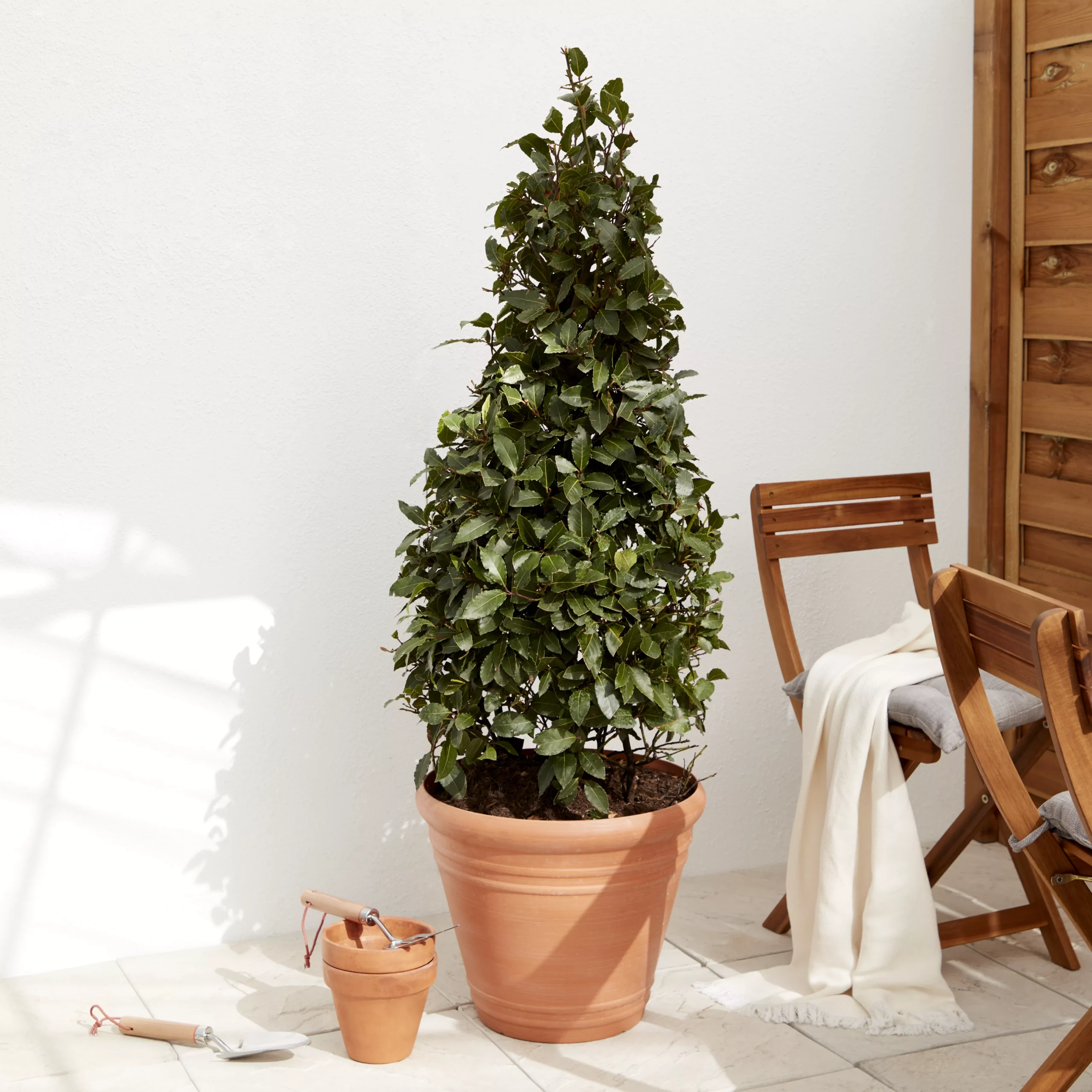 Verve Piave Terracotta Polypropylene (PP) Round Plant Pot (Dia)45cm 3 Verve Piave Terracotta Polypropylene (PP) Round Plant Pot (Dia)45cm - Image 3