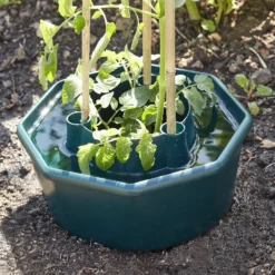 Verve Plastic Plant Support 28cm, Pack Of 3 5 Verve Plastic Plant Support 28cm, Pack Of 3 -Garden Care Shop verve plastic plant support 28cm pack of 33663602557715 01i