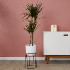 White Ceramic Round Plant Pot (Dia)21.5cm -Garden Care Shop white ceramic round plant pot dia 21 5cm3663602440826 01i bq